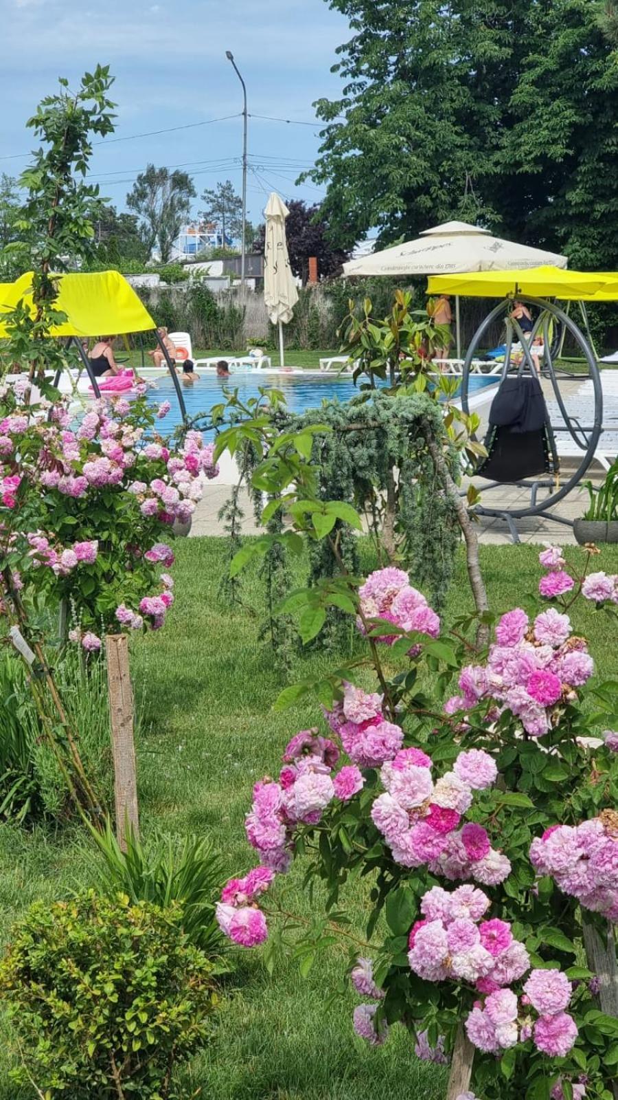 Hotel Iulia Resort Venus Eksteriør bilde