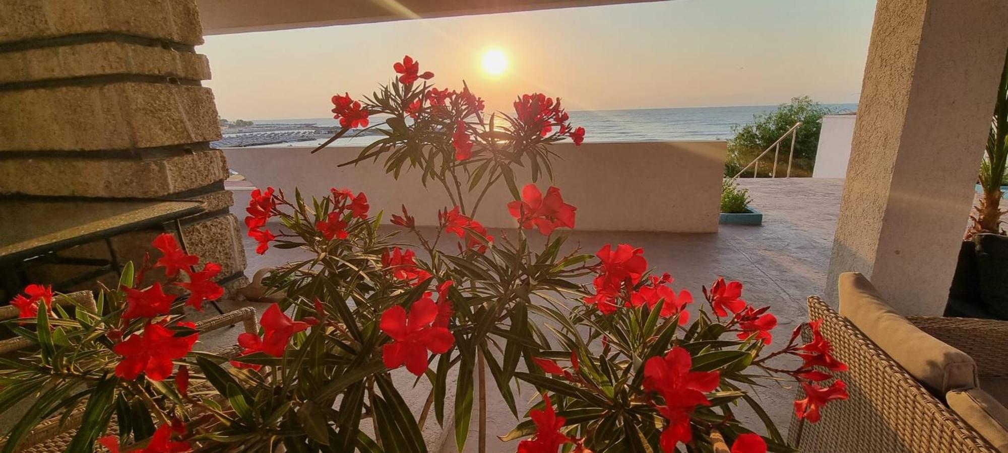 Hotel Iulia Resort Venus Eksteriør bilde