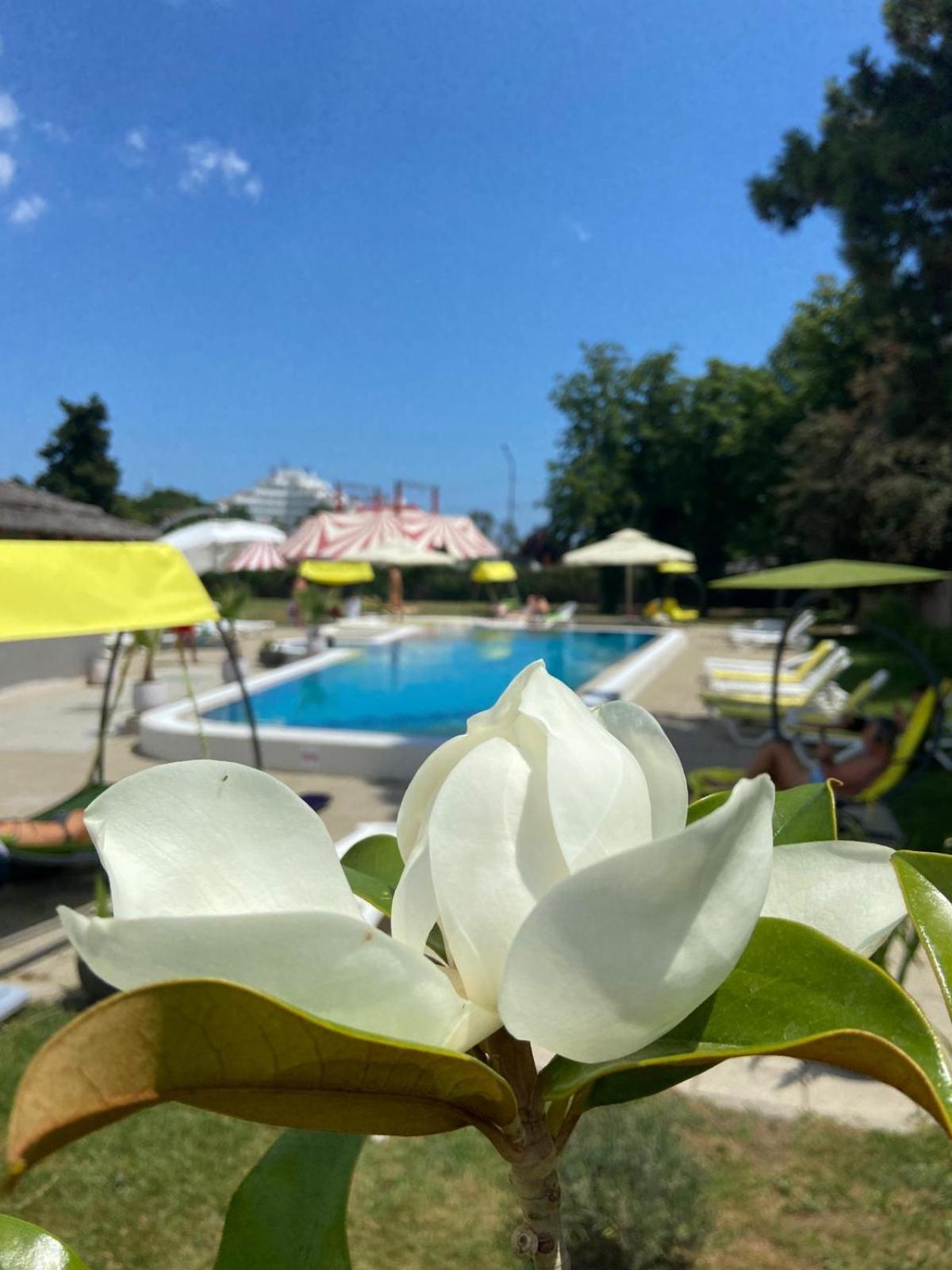 Hotel Iulia Resort Venus Eksteriør bilde